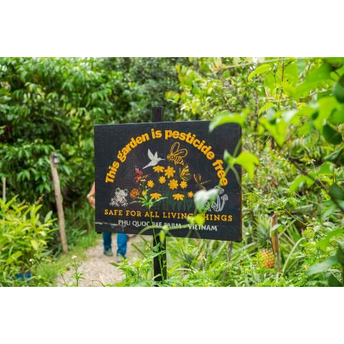 (TOUR GHÉP) Chèo Thuyền Thúng Sông Cửa Cạn + Tham Quan Trang Trại Mật Ong