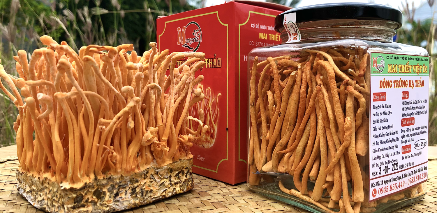 Đông Trùng Hạ Thảo Sấy Khô 25gram