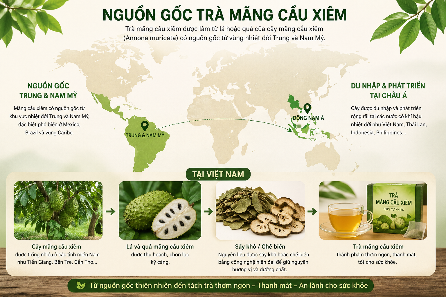 Nguồn gốc & xuất xứ