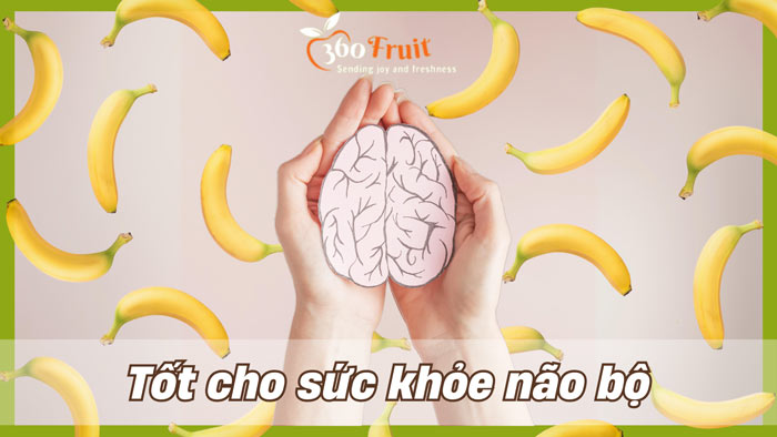 5. Tốt Cho Não Bộ