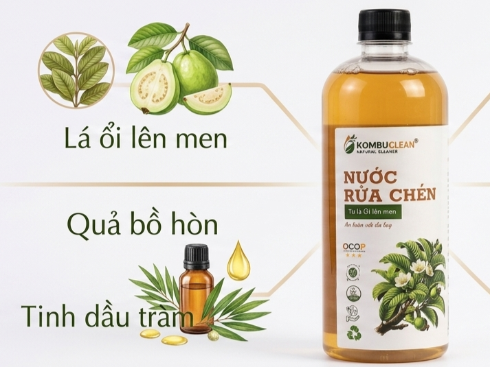 Thành phần, nguồn gốc !