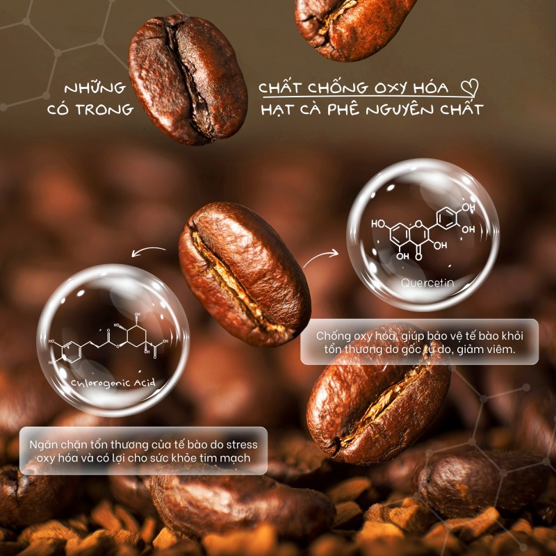 2.Giàu chất chống Oxy hóa