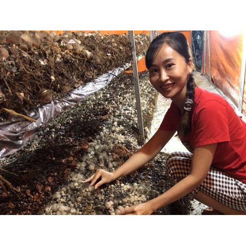 Quy trình sản xuất tạo nên giá trị