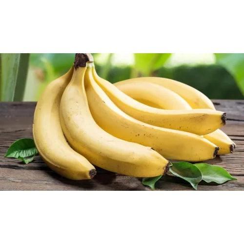 Hỗ trợ cơ thể về vấn đề sức khỏe