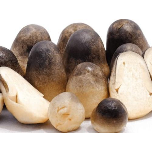 Thành phần - xuất xứ