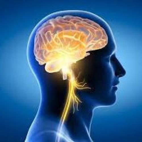 4. Tốt cho não bộ