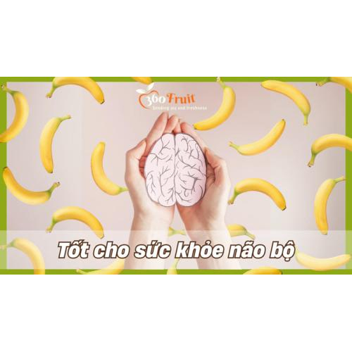 5. Tốt Cho Não Bộ